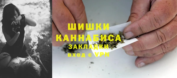 прущий лед Козловка