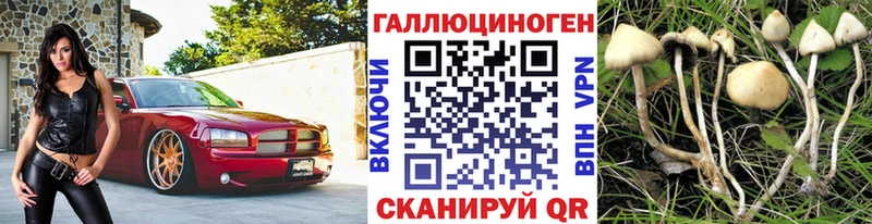 Галлюциногенные грибы мухоморы  Купить где  Елабуга 
